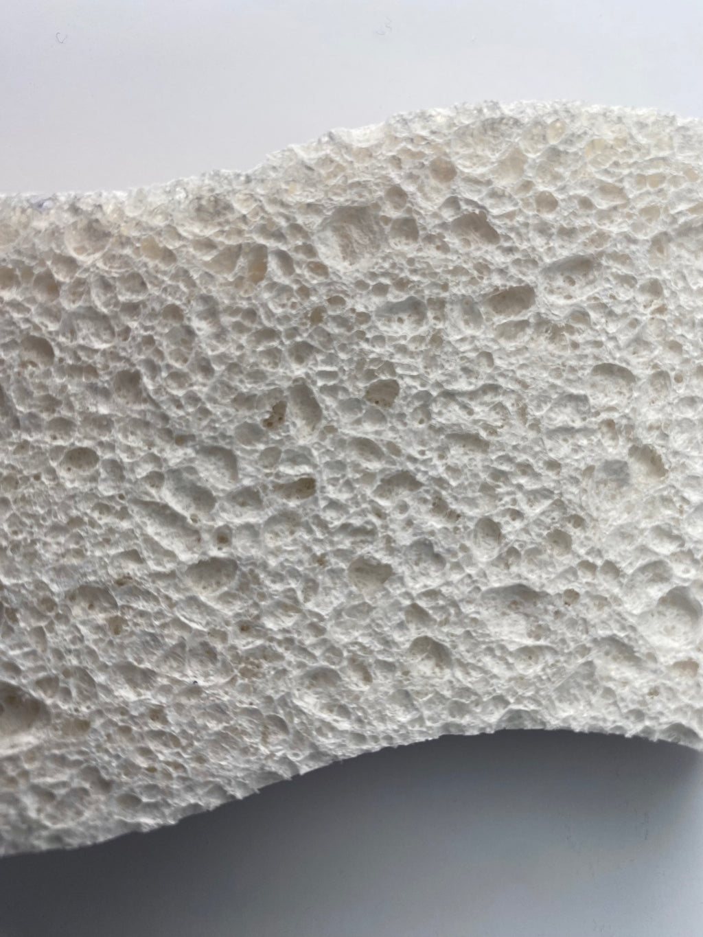 Eco-Sponges — Tough on grime, zero microplastics.
